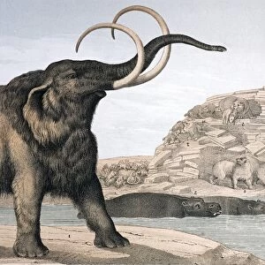 1862 British Mammoth with carnivores
