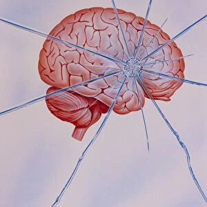Artwork of brain with shattered glass superimposed