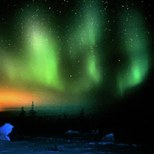 Aurora borealis display with setting Moon