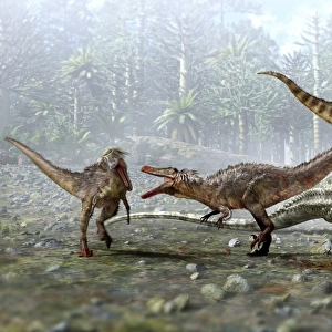 Austroraptor dinosaurs
