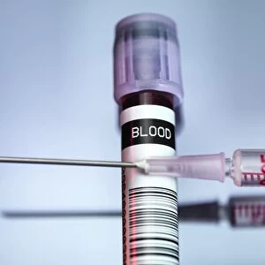 Blood sample F006 / 9054