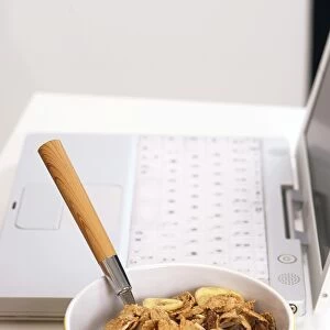Bowl of cereal C013 / 4905