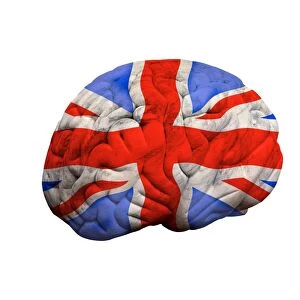 British brain, conceptual artwork F008 / 3545