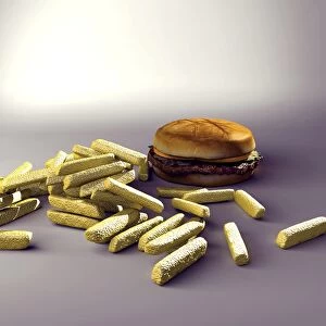 Burger and chips, computer artwork
