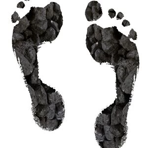 Carbon footprints, conceptual image