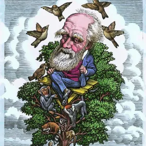 Charles Darwin in his evolutionary tree Print Charles Darwin in his evolutionary tree Print