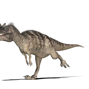 Ceratosaurus dinosaur, computer artwork