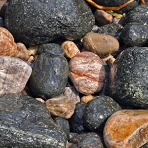 Coastal rocks and pebbles C017 / 8325