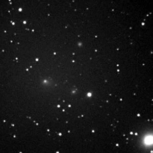 Comet 2008 J1 (Boattini), May 2008