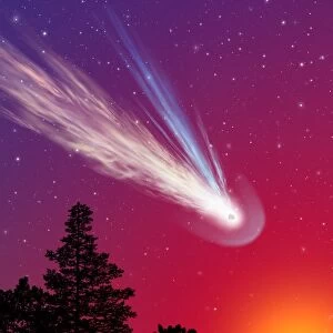 Comet over trees, artwork C015 / 0777