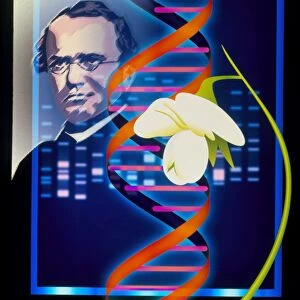 Computer artwork of the botanist Gregor Mendel