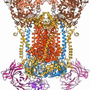 Cytochrome complex molecule F006 / 9401