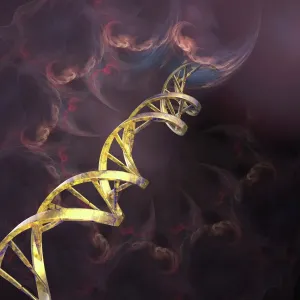 Double Helix DNA Molecule Print Double Helix DNA Molecule Print