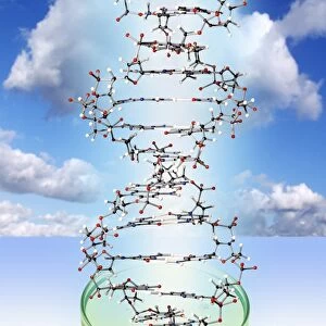 DNA molecule and Petri dish