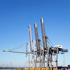 Dockside cranes