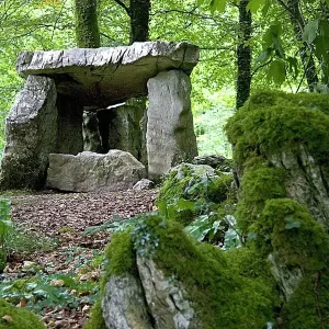 Dolmen at Craggaunowen Project Print Dolmen at Craggaunowen Project Print