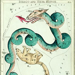 Draco and Ursa Minor constellations