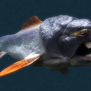 Dunkleosteus prehistoric fish