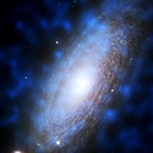 Galaxy NGC 2842, Chandra X-ray image