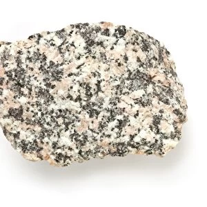 Hornblende-biotite granite C016 / 6205