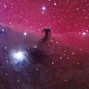 Horsehead Nebula