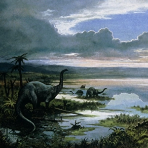 Jurassic landscape