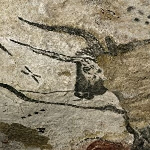 Lascaux II cave painting replica C013 / 7379