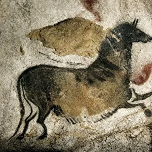 Lascaux II cave painting replica C013 / 7384