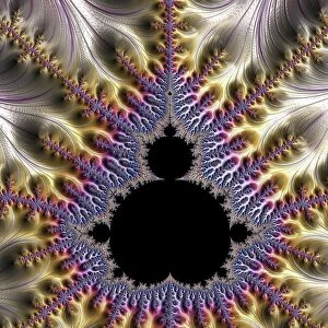 Mandelbrot fractal F008 / 4429
