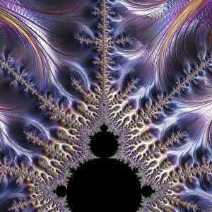 Mandelbrot fractal F008 / 4430