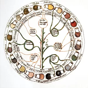 Medieval urine wheel