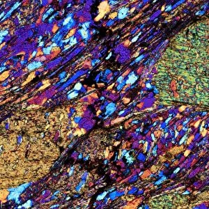 Mica schist, thin section, polarised LM
