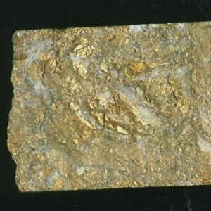 Mining drill core sample with gold content