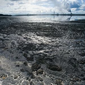Oil industry pollution
