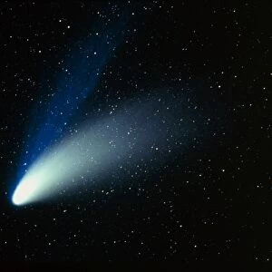 Optical image of comet Hale-Bopp in the night sky