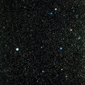 Pegasus Constellation Print