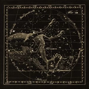 Pegasus constellations, 1829 C016 / 4399