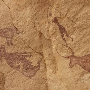 Pictograph detail of a Lion attack, Libya