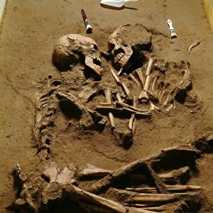 Prehistoric skeletons E439 / 0127