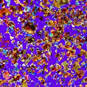 Rock mineral crystals, polarised LM C017 / 8476