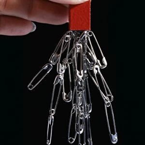 Safety pins with a magnet