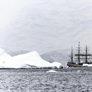 Sailing ship Europa in Antarctica F008 / 3653