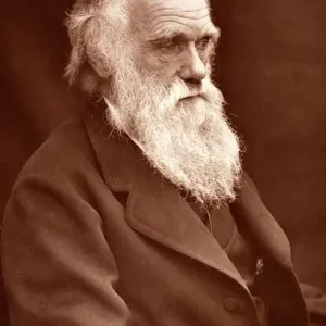 Charles Darwin Print 1874 Charles Darwin Print 1874
