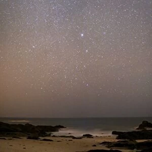 Sirius in Canis Major over a beach