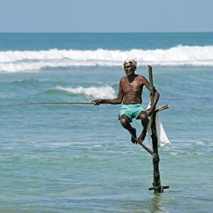 Stilt fishermen in Sri Lanka C017 / 9991