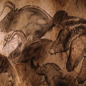 Popular Themes Collection: Cave Paintings