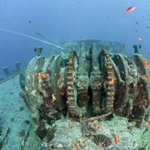 Sunken ship wreck