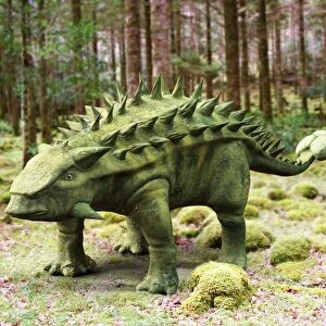 Talarurus dinosaur