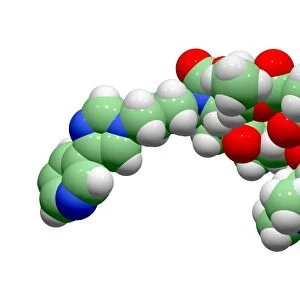Telithromycin antibiotic molecule