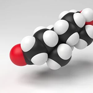 Testosterone hormone molecule